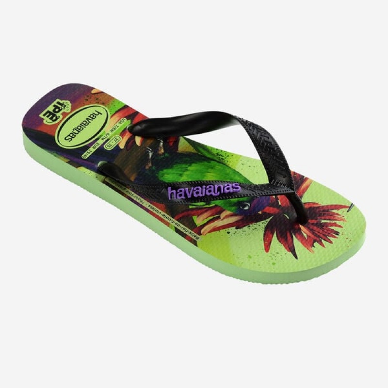 Havaianas Ipe Men's Flip Flops | BHGJUS-407