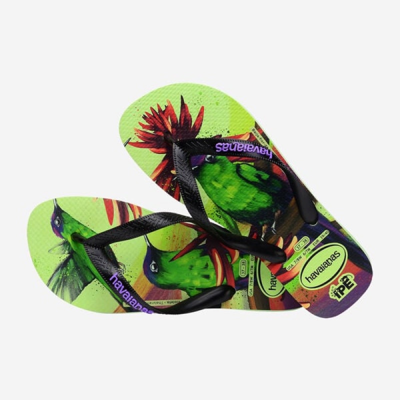 Havaianas Ipe Men's Flip Flops | BHGJUS-407