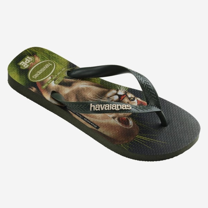 Havaianas Ipe Men's Flip Flops | CVBHSY-041