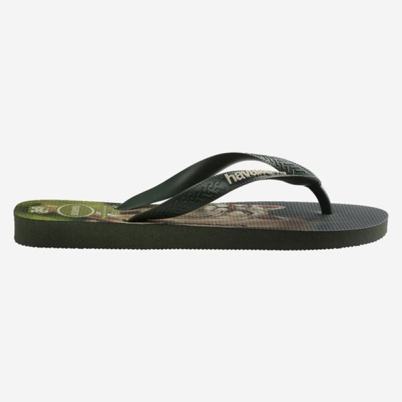 Havaianas Ipe Men's Flip Flops | CVBHSY-041