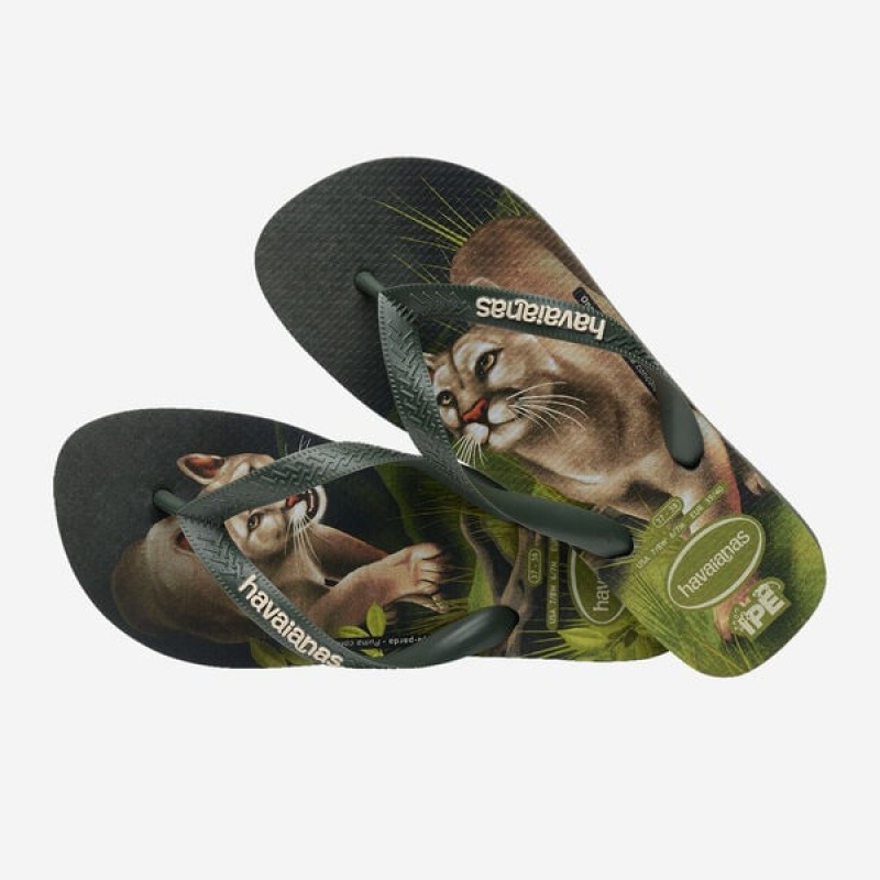 Havaianas Ipe Men's Flip Flops | CVBHSY-041