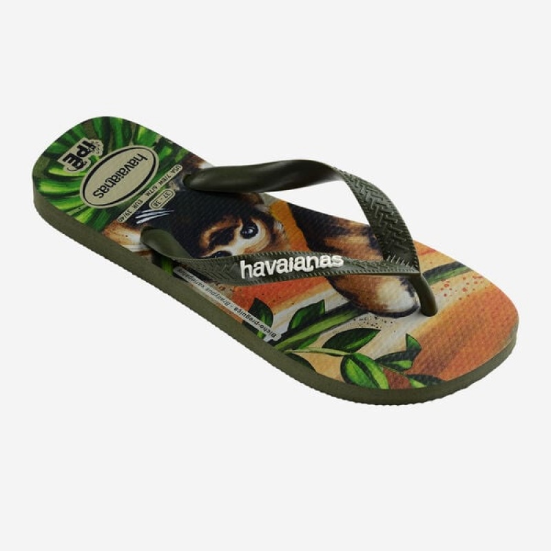 Havaianas Ipe Men's Flip Flops | FOYZVN-826