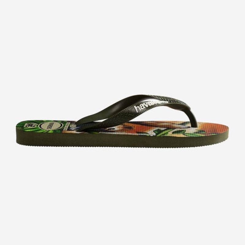 Havaianas Ipe Men's Flip Flops | FOYZVN-826