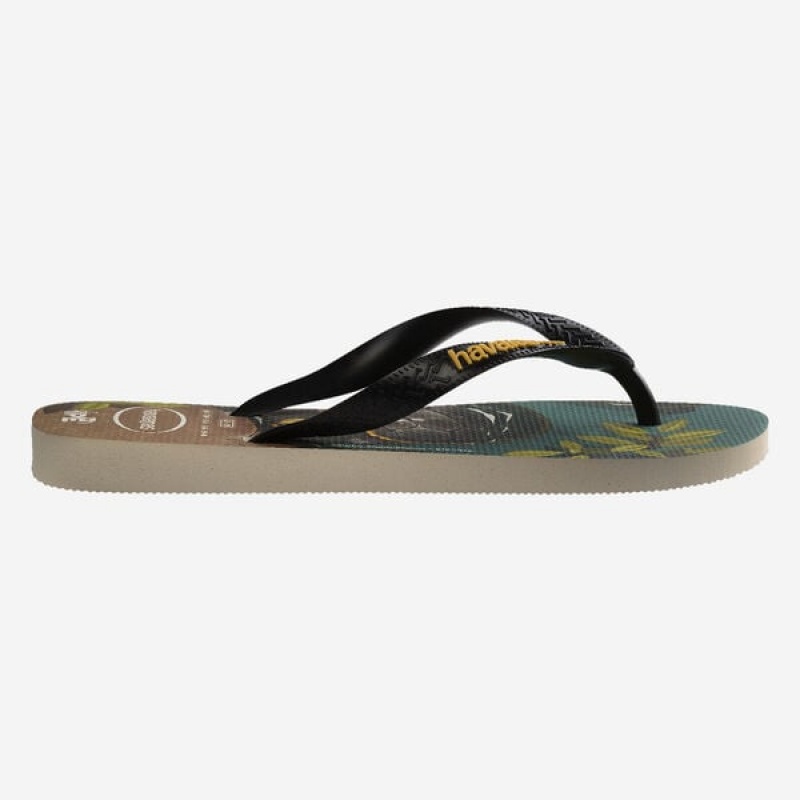 Havaianas Ipe Men's Flip Flops | UISNQB-857