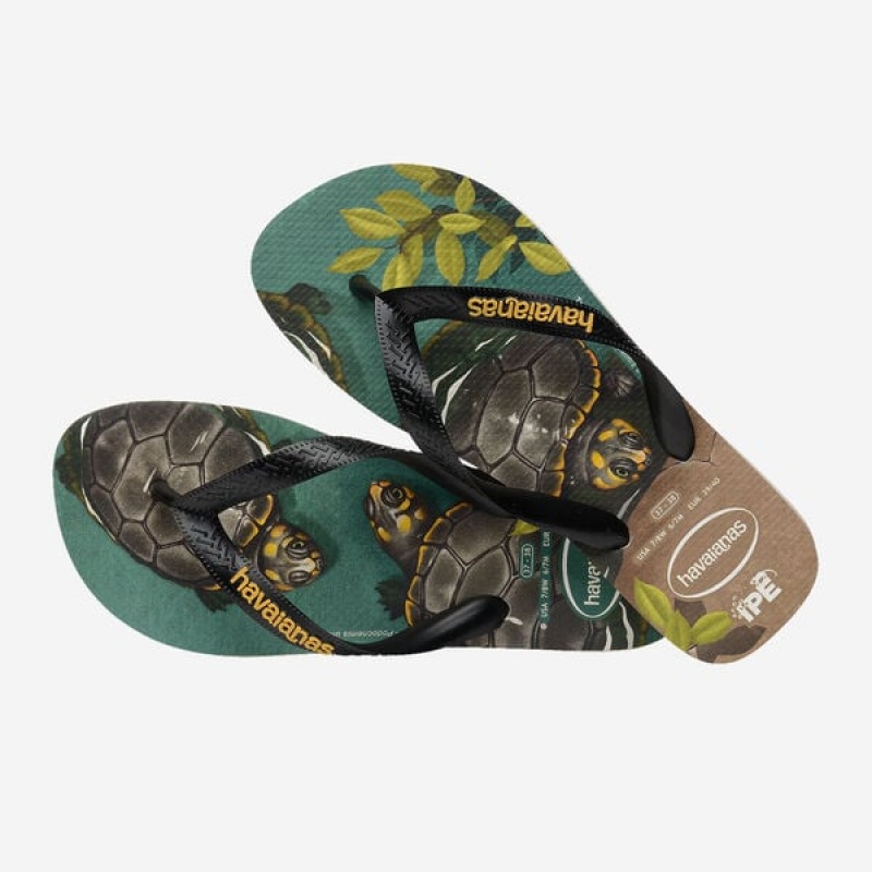 Havaianas Ipe Men's Flip Flops | UISNQB-857