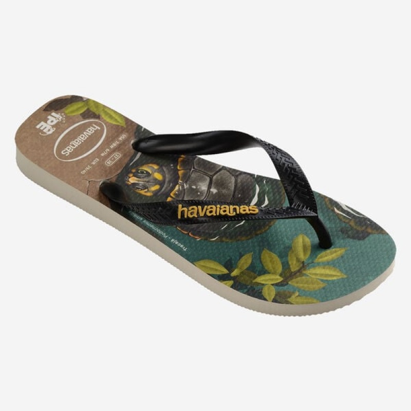 Havaianas Ipe Women's Flip Flops | NRIEJS-410