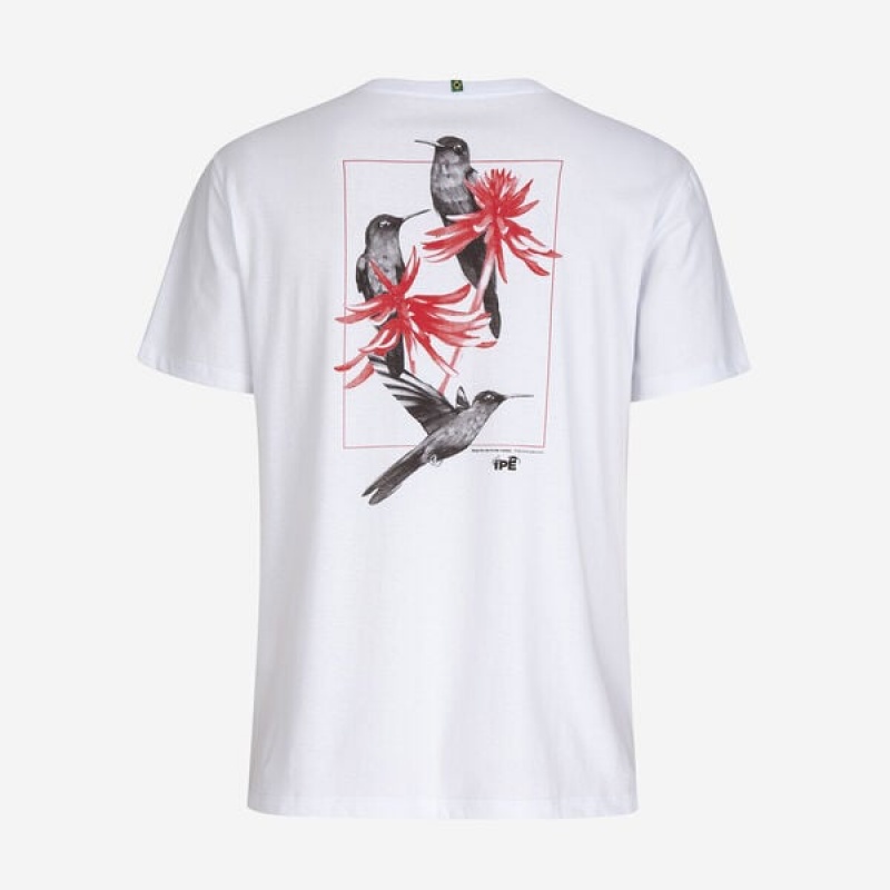 Havaianas Ipê Hummingbird Men's T Shirts | PHVQKW-187