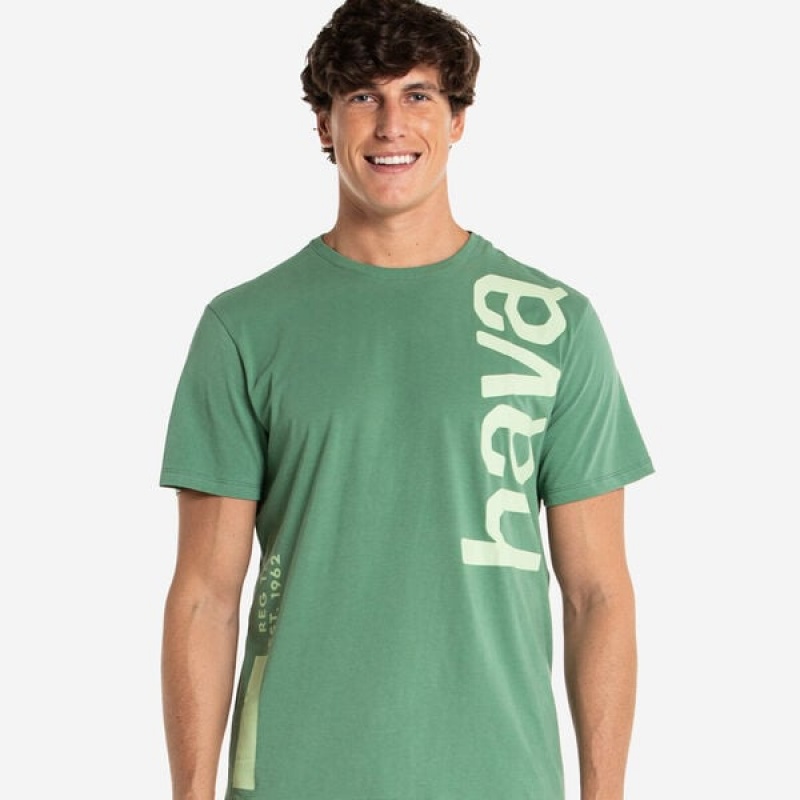 Havaianas New LogomaniaT-Shirt Men's T Shirts | IGLUTO-702