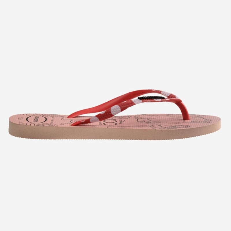 Havaianas Slim 100 Present Women's Flip Flops | LCDHGP-791