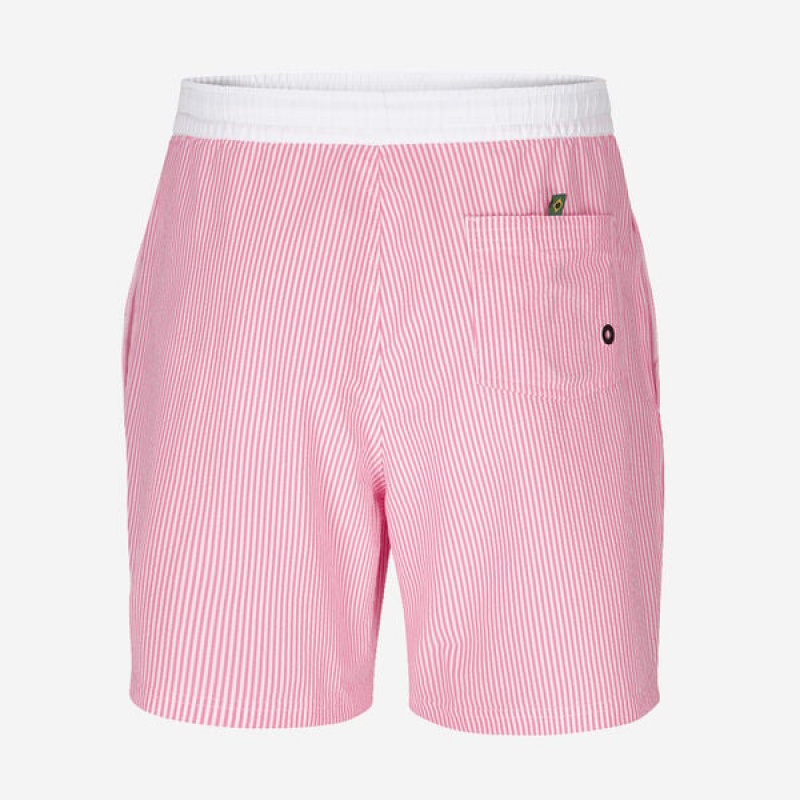 Havaianas Stripes Men's Boardshorts | CGYNRO-987