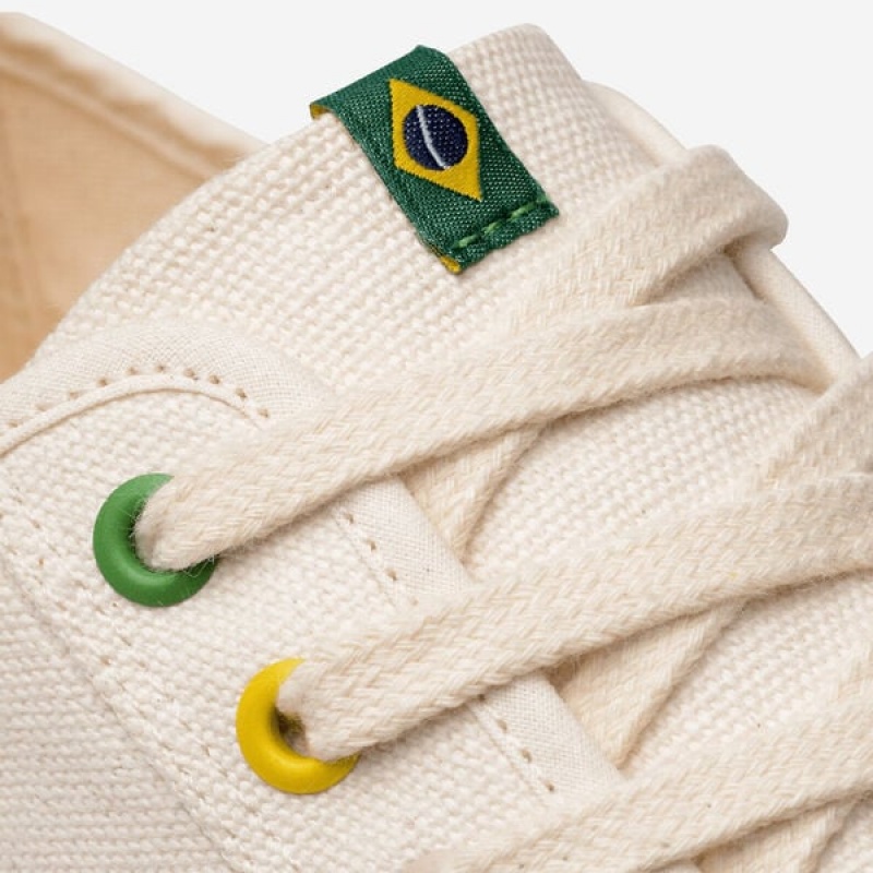 Havaianas TNS Canvas Brasil Men's Sneakers | QAFOJY-238