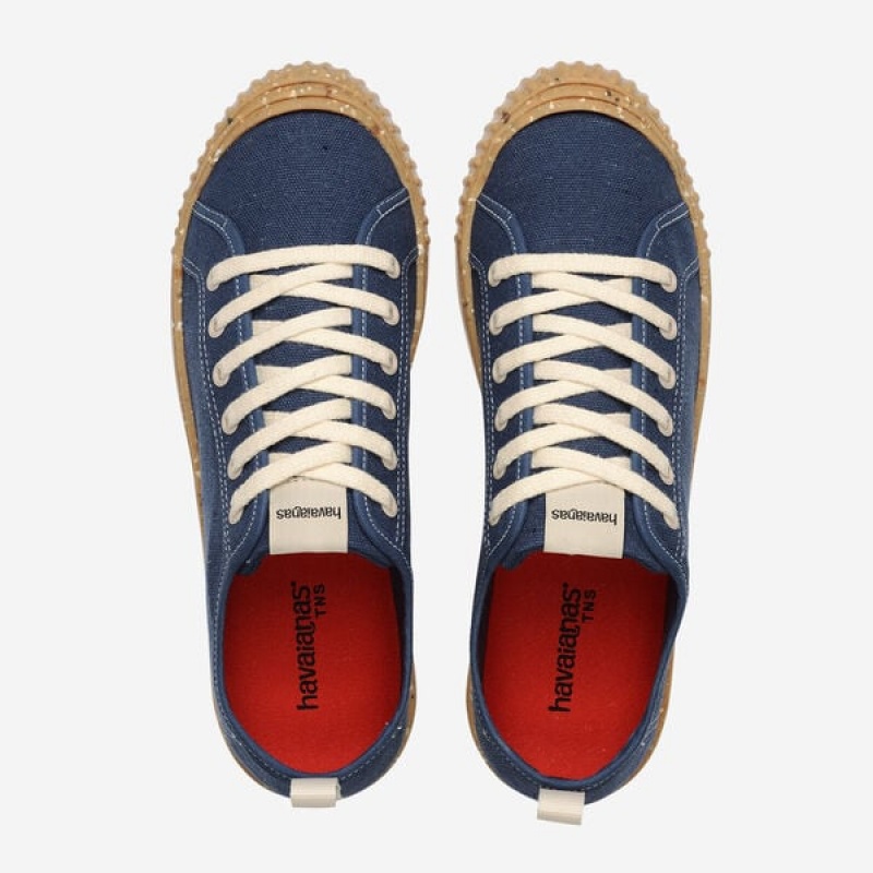 Havaianas TNS Canvas Roots Men's Sneakers | DCGWJY-587