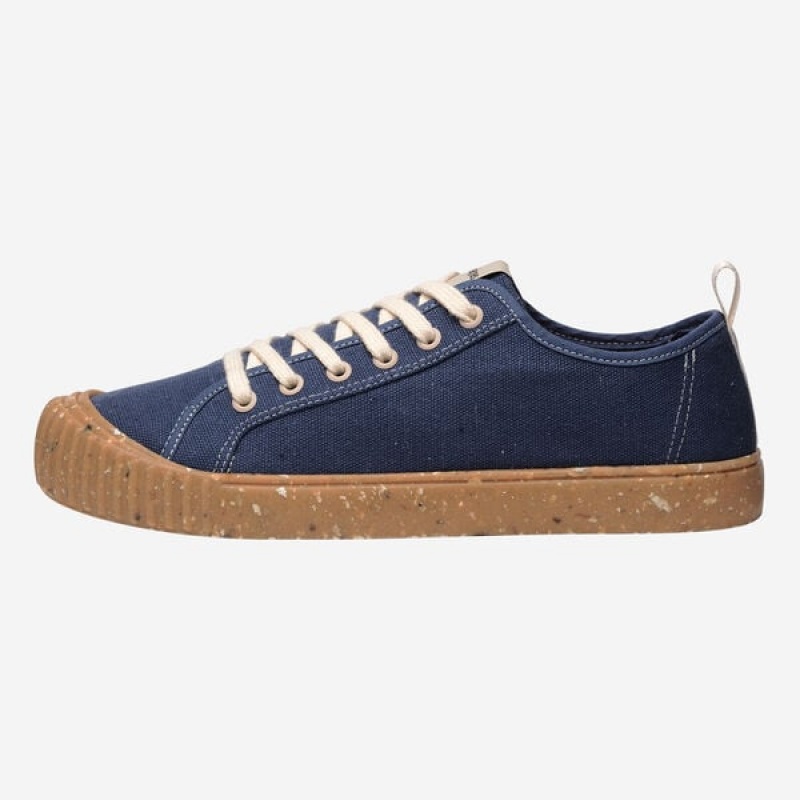 Havaianas TNS Canvas Roots Women's Sneakers | LSPMIJ-295