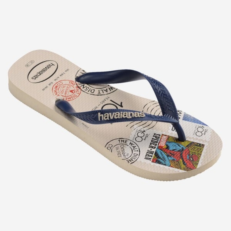 Havaianas Top 100 Past Men's Flip Flops | HJNPIF-140