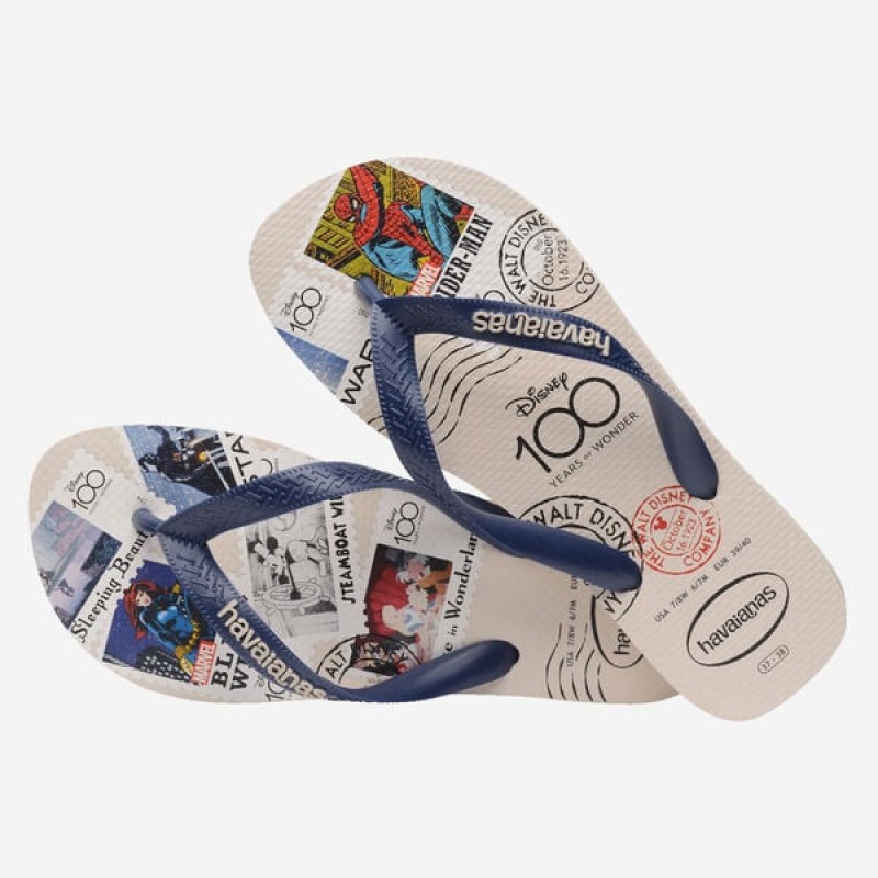 Havaianas Top 100 Past Men's Flip Flops | HJNPIF-140