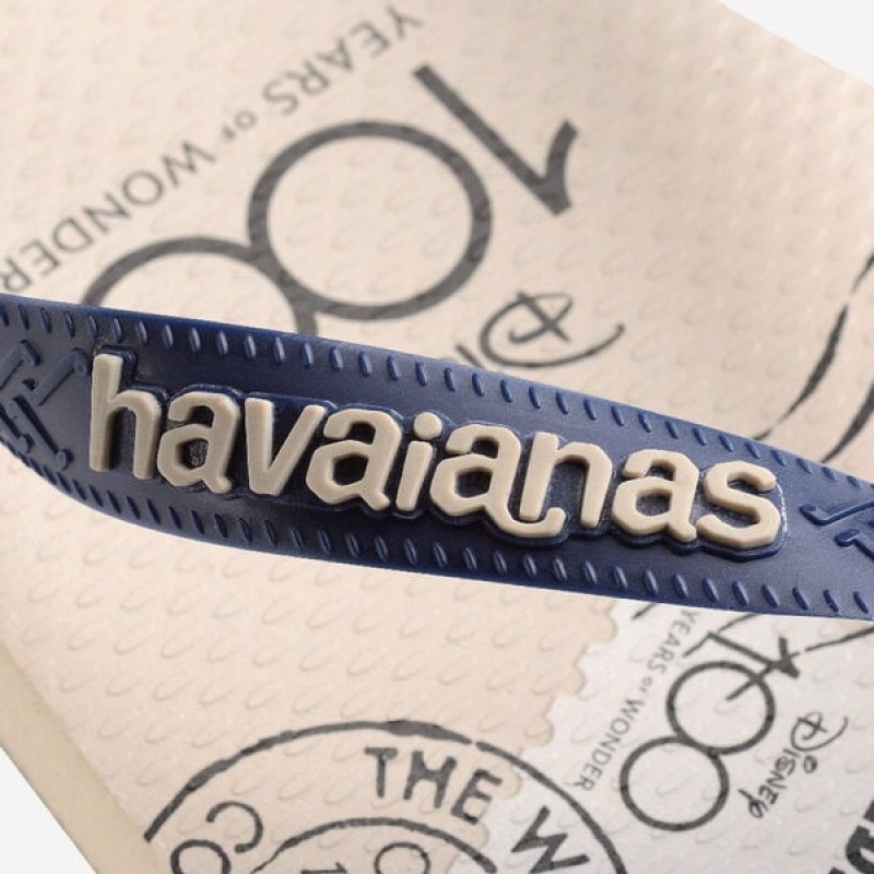 Havaianas Top 100 Past Men's Flip Flops | HJNPIF-140