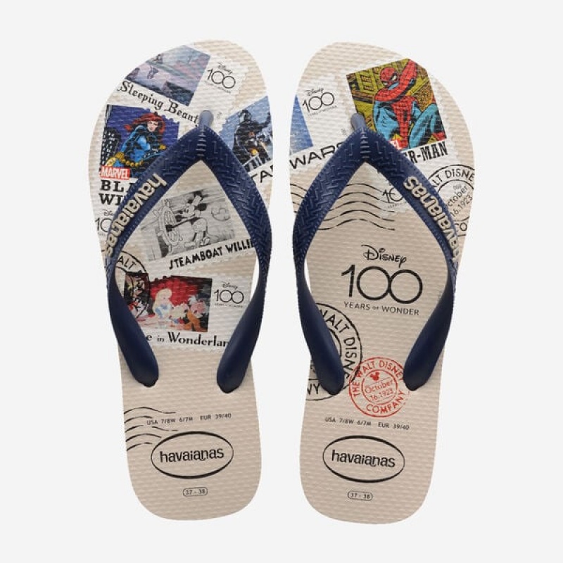 Havaianas Top 100 Past Men\'s Flip Flops | HJNPIF-140