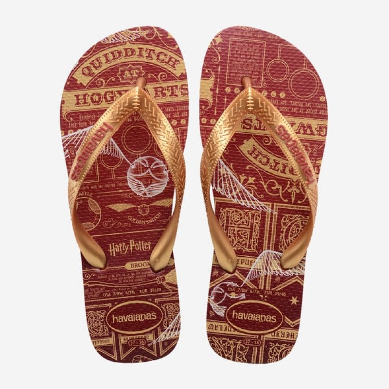 Havaianas Top Harry Potter Men\'s Flip Flops | MYSZUE-749