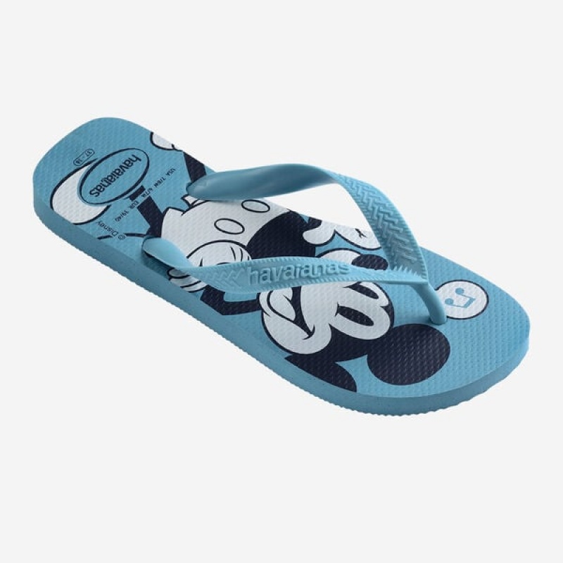 Havaianas Top Men's Flip Flops | BDCGFS-392