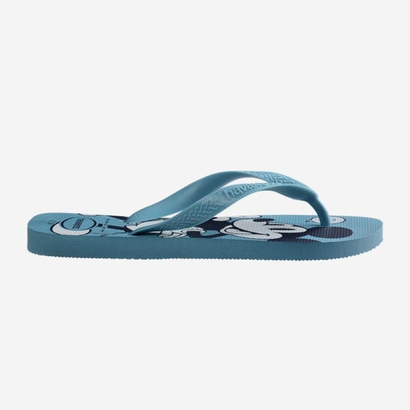 Havaianas Top Women's Flip Flops | RXHDFE-034